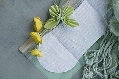 超萌考拉携澳洲茶树精华从天而降